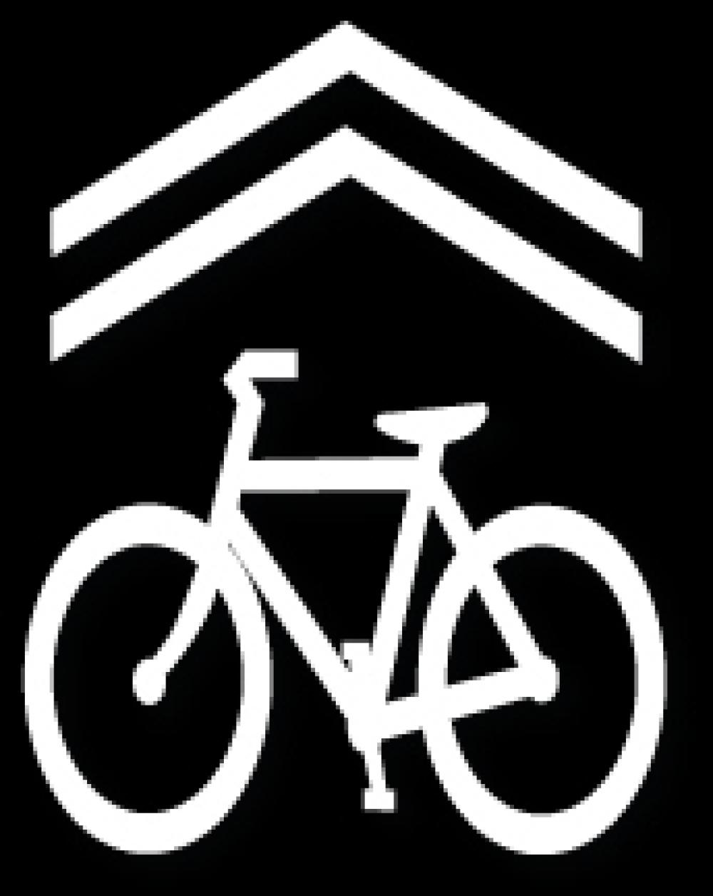 Bike sharrow 2024